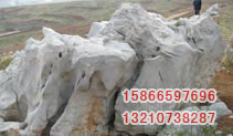 ͼƬƣTHS003
1753