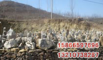 ͼƬƣTHS006
1946