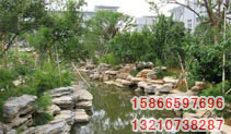 ͼƬƣJSHA003
1680