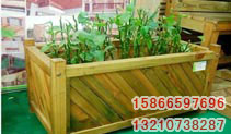 ͼƬƣYLXP004
1697