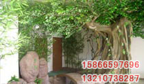 ͼƬƣFMFZ002
2052