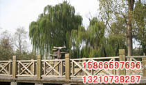 ͼƬƣFMFZ008
2033