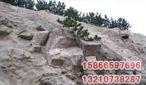ͼƬƣFMFZ010
2032