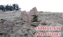 ͼƬƣFMFZ011
2132