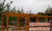 ͼƬƣCPZS
1907
