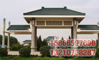 ͼƬƣGJPF010
2041
