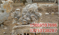 ͼƬƣTHS011
1579