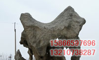 ͼƬƣTHS023
1930