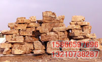 ͼƬƣJSHA016
1754